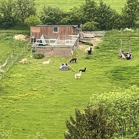 Gemuetliche 3-Zimmer-Wohnung Mit Panoramablick Und Kostenlosem Ueberdachten Parkplatz Winterberg Esterno foto