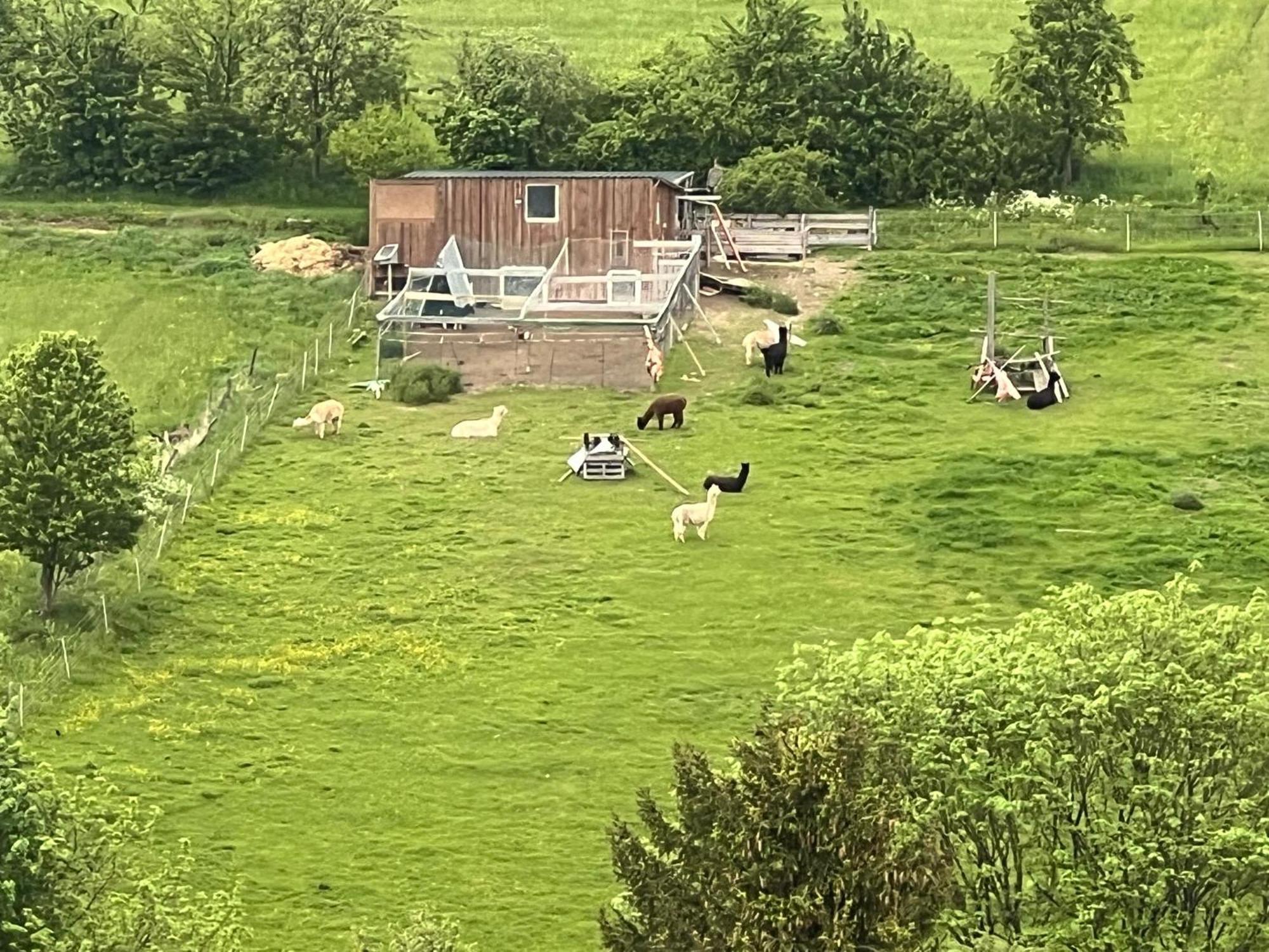 Gemuetliche 3-Zimmer-Wohnung Mit Panoramablick Und Kostenlosem Ueberdachten Parkplatz Winterberg Esterno foto